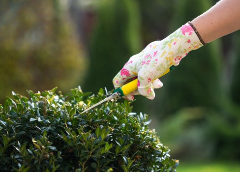 Professional gardening complaints process overview