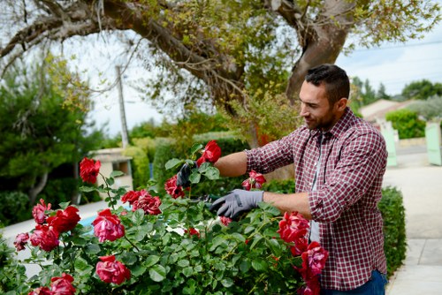 Free quote policy for Gardeners Bulls Cross services