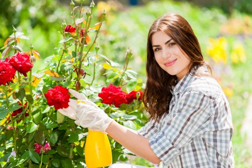 Professional Bulls Cross gardeners explaining tailored garden maintenance