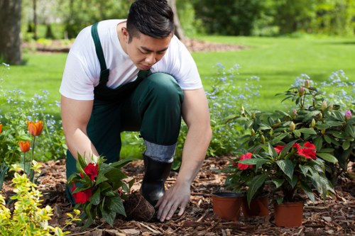 Clear and fair pricing for local garden clearance and quotes