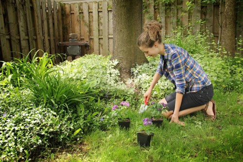 Example garden clearance jobs in Bulls Cross homes