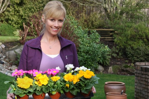 Garden maintenance work in Bulls Cross with plants, hedges, and clean outdoor spaces