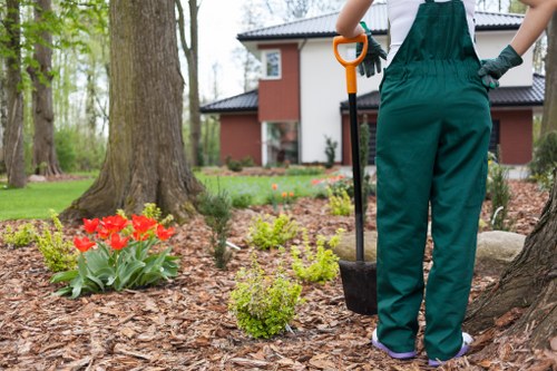 Regular mowing and lawn treatment in Bulls Cross