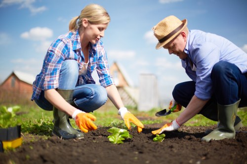 Ongoing accessibility improvements for accessible gardening services in Bulls Cross
