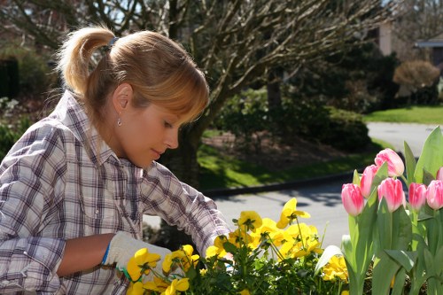 Seasonal planting and hard landscaping in a Bulls Cross garden design
