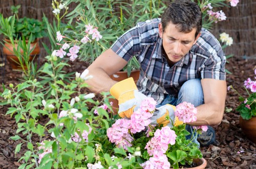 Trusted gardening services complaints resolution